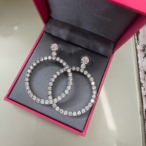 Silver Hoop Earrings